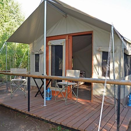 The Wild Olive Tree Camp Hotel Welverdiend  Værelse billede