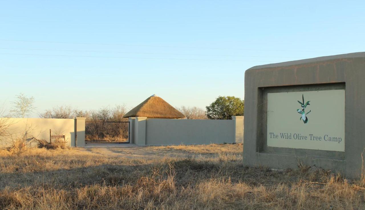 The Wild Olive Tree Camp Hotel Welverdiend  Eksteriør billede
