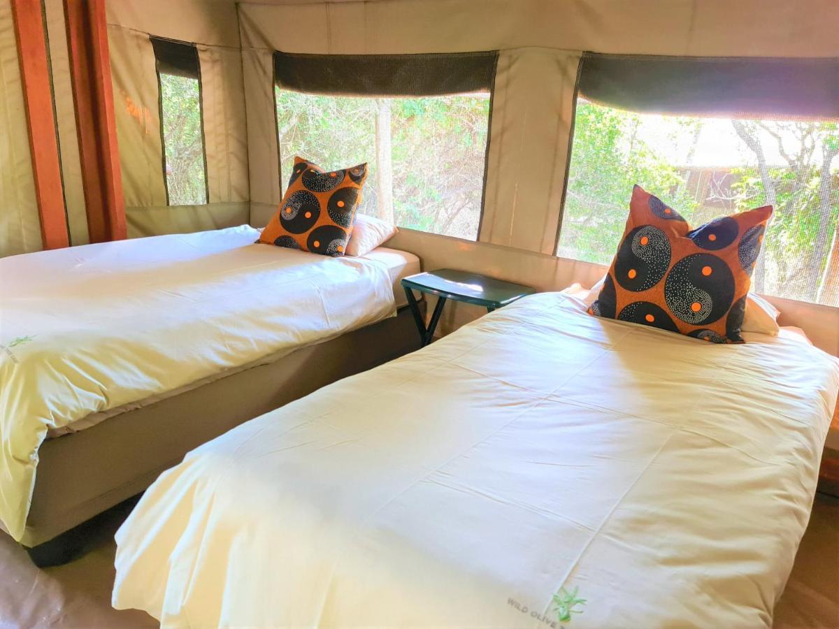 The Wild Olive Tree Camp Hotel Welverdiend  Eksteriør billede