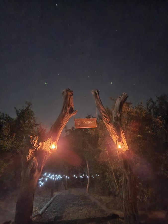 The Wild Olive Tree Camp Hotel Welverdiend  Eksteriør billede